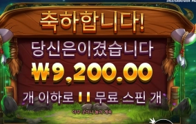 점심 값으로 바이슨 한판