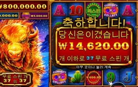 커넥트 연결 이렇게 어려웠던가