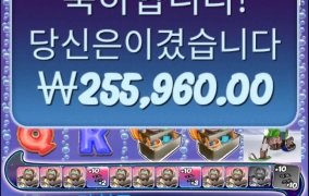 빅배스 25콩 ㅅㅅ