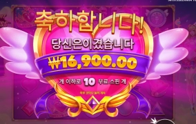 이 구역의 핑꾸꽁주