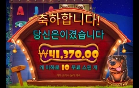 도그멀티 1칸만 더 열어주징