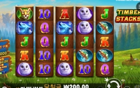 팀버 바닥 신나게 돌렸는데