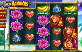 바나나 절대 노노