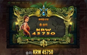 플레이앤고 캣와일드