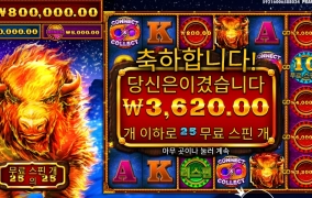 불스원샷 소닯았는데