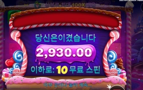 보난자양 당신이 어떻게