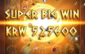 플레이엔고 올푸 50콩