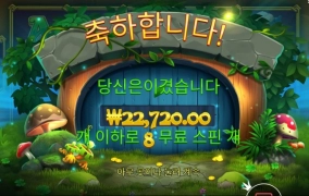 와일드 예쁘게 깔았는데