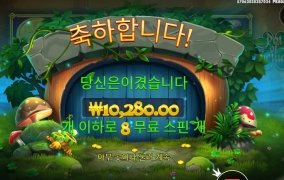 포춘 기도메타 했는데