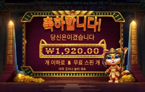 케트라 믿었건만