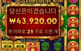 불새 커넥트 아쉽노