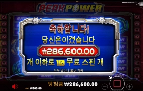 피크 파워 후기