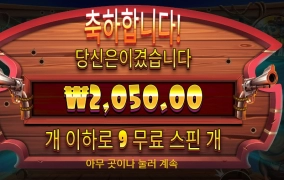 개집 형편없어 요즘