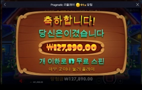 도그하우스 후기