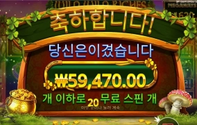 와일드 리치메가 한방에 20스핀