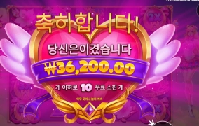 맥주한잔 먹으며 공주보는데