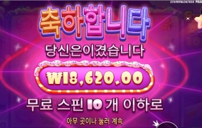 슈가1000 또 시작이네