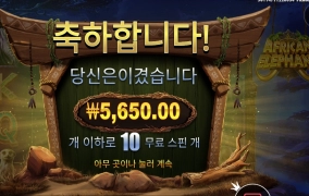 뿔없는 야생코끼리는