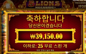 사자 5마리 고마웡