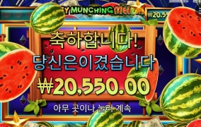 수박이 언제부터 팔죠?