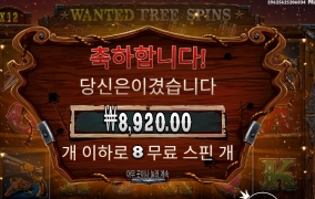 수배령 무슨의미니