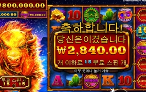 새벽에 고기 땡겼는데