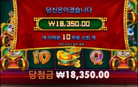 답 없는 펫판다