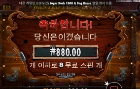 스핀(수배)을 구매했는데