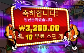 햄벅 10스핀 돌려봤는데요