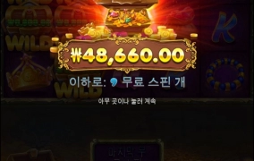 마지막 와일드5개 살려주넹