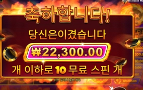 2콩에 수익률 10프로 팔로미