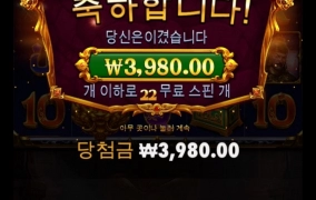 와일드 무진장 박하네