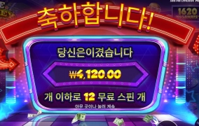 머니맨 금지 머니맨 아웃