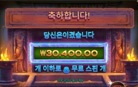 나일포춘 와일드가