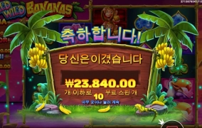 와일드 바나나 원숭이