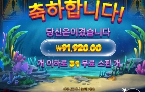 비웨어 딥 31핀 후기