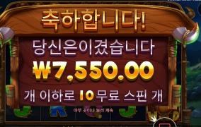 쇠고기 바이슨 10스핀