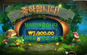 미스 포춘 7천원ㅜㅜ