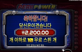 전력을 다하려 스핀 구매 했는데