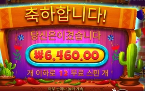 핫소스가 아니라 케찹인디!?