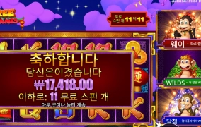 원숭이는 지능이 높다는데