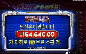 피크파워 멀티구매