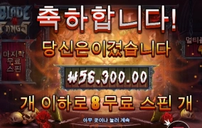 10콩 블래이드&팽스 결과