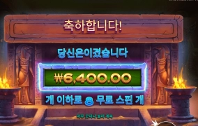 냐옹 안맞는냐옹