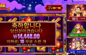 원숭이 3마리 정신또띠 차리라