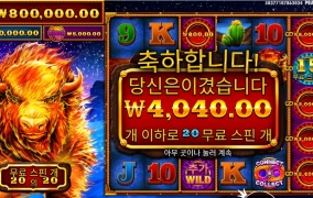 들소야 집에가자