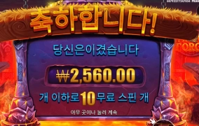 심했다 심했어 바이킹