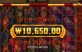 20스핀 폼에 돌렸는데