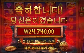 로키 4콩 돌리니