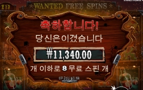 총잡이들 수배 중